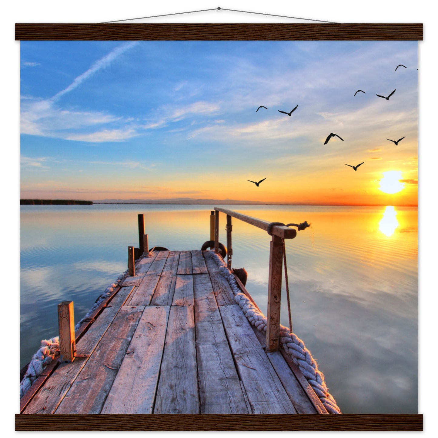 02145c22-6c4c-4f7f-9b24-6a3629c51655