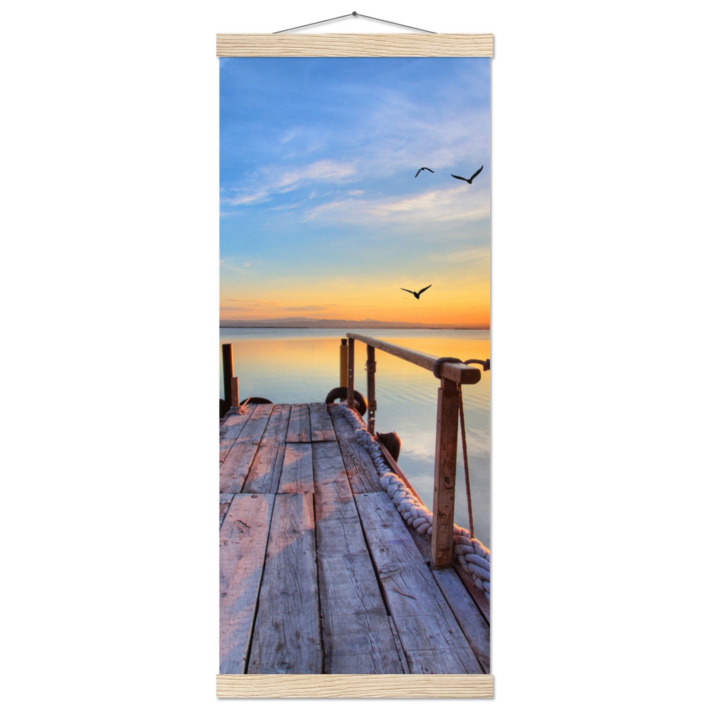 270177d4-73e6-48cc-86b0-79b1f4250886