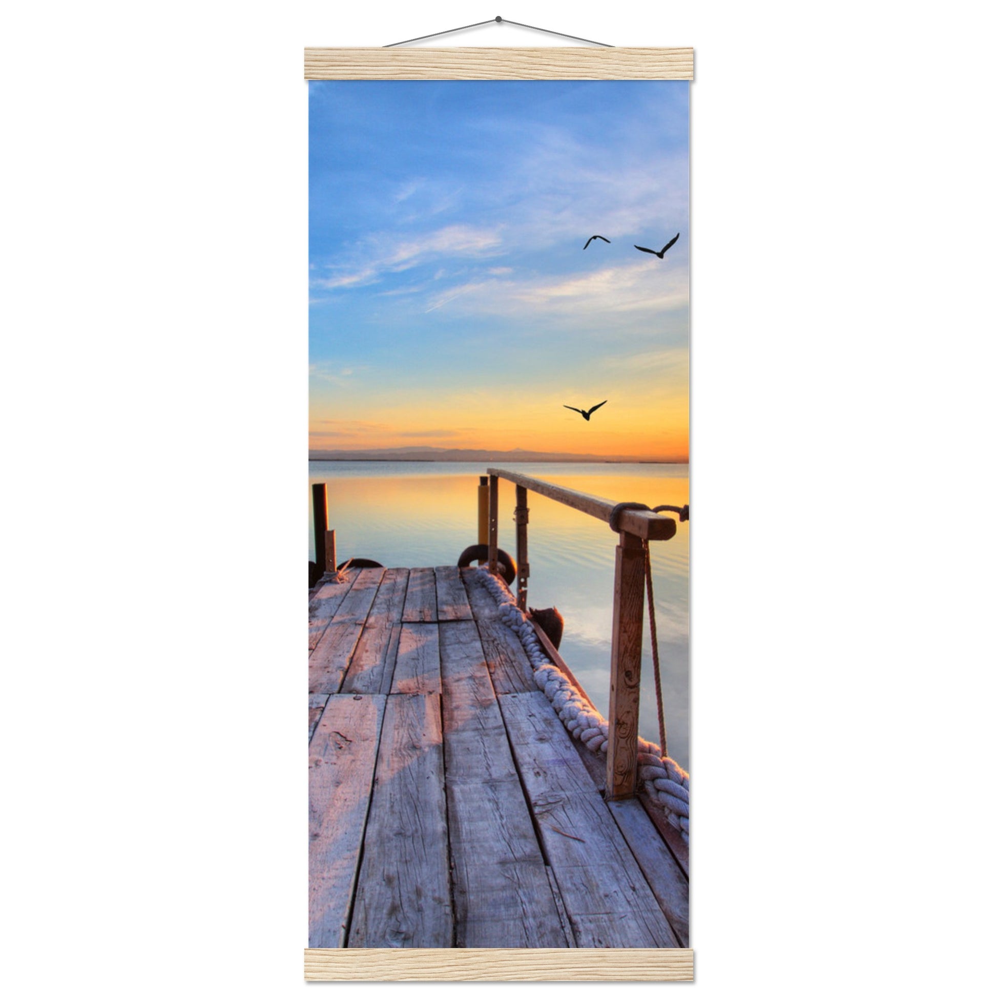 270177d4-73e6-48cc-86b0-79b1f4250886