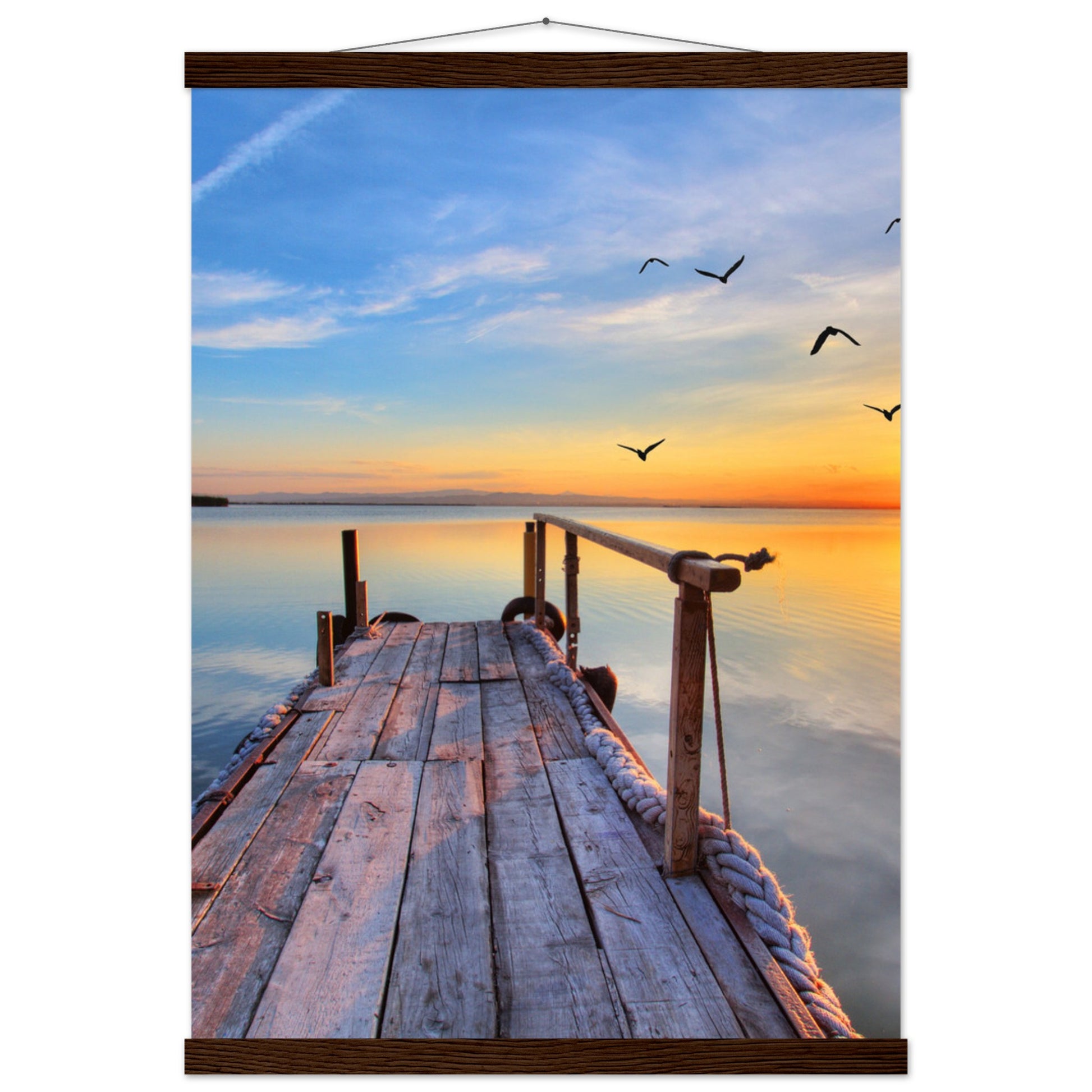 2c50f7f5-bf04-44d9-a00e-110083280097