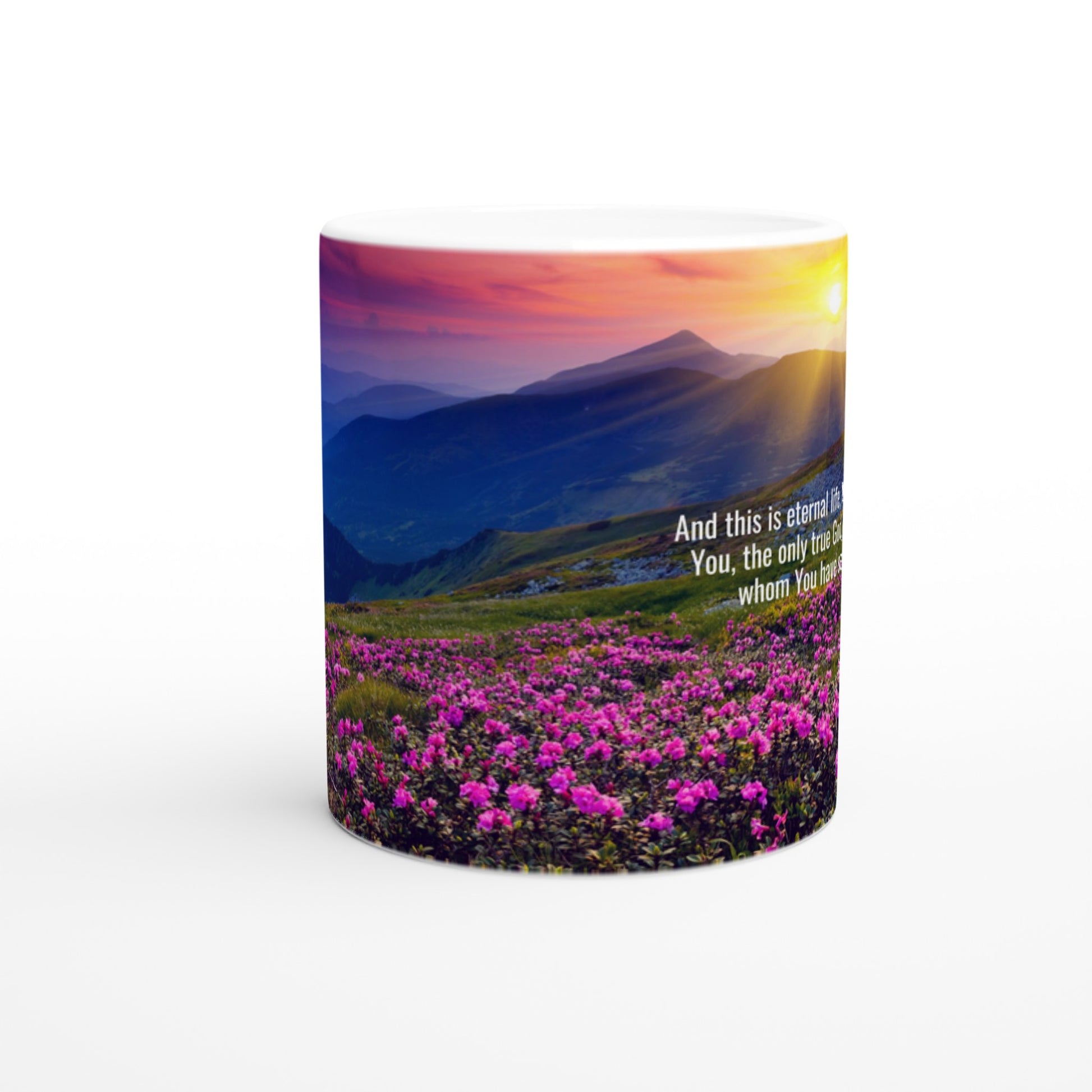 3d775072-c28a-4f3e-80c6-ccc6a288e0e4