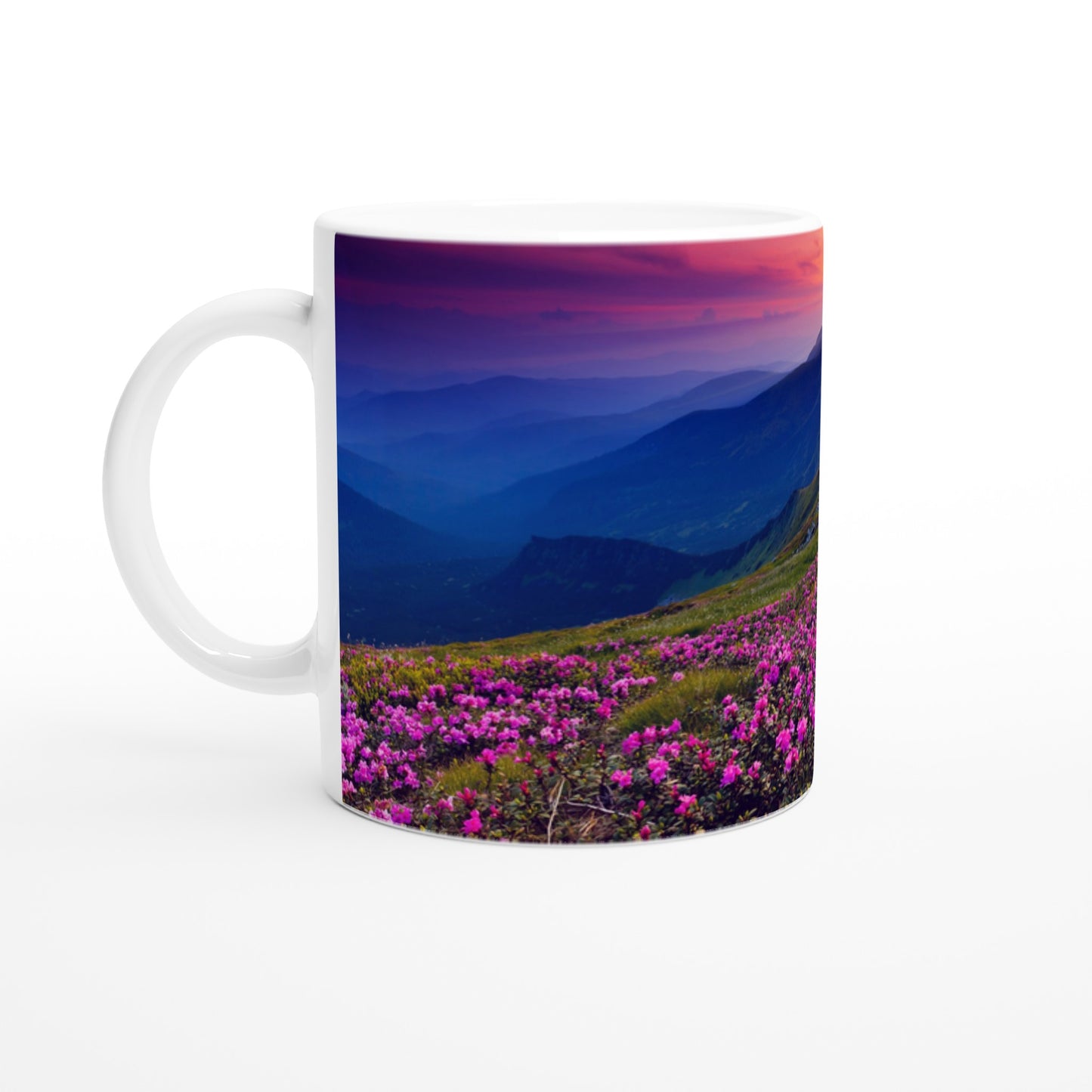 5bd57340-dbc6-41e7-be9a-bff1feb0e277