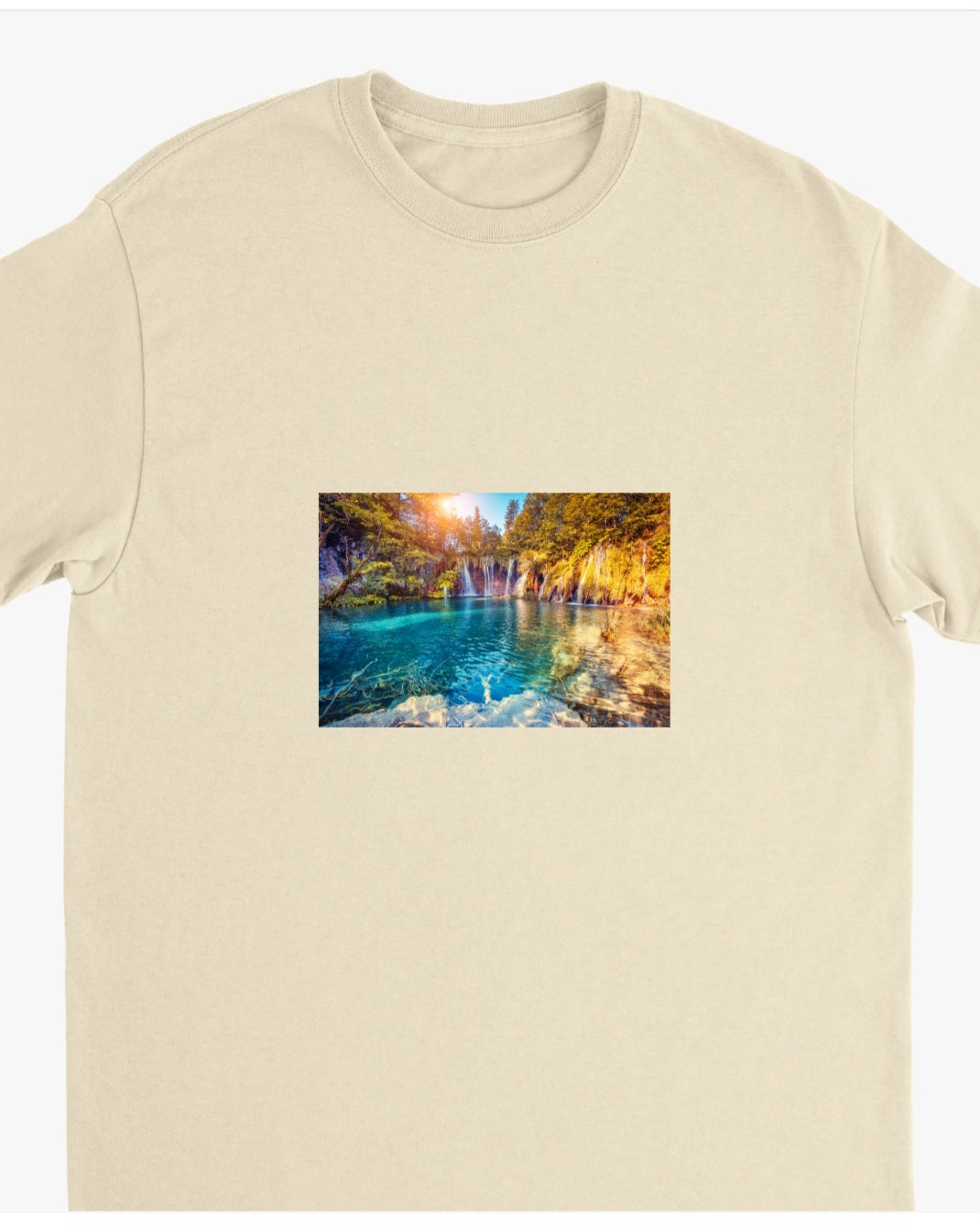 Tshirt Unisex-- Bible Verse: Phil 4:13 / Nature --Heavyweight Crewneck