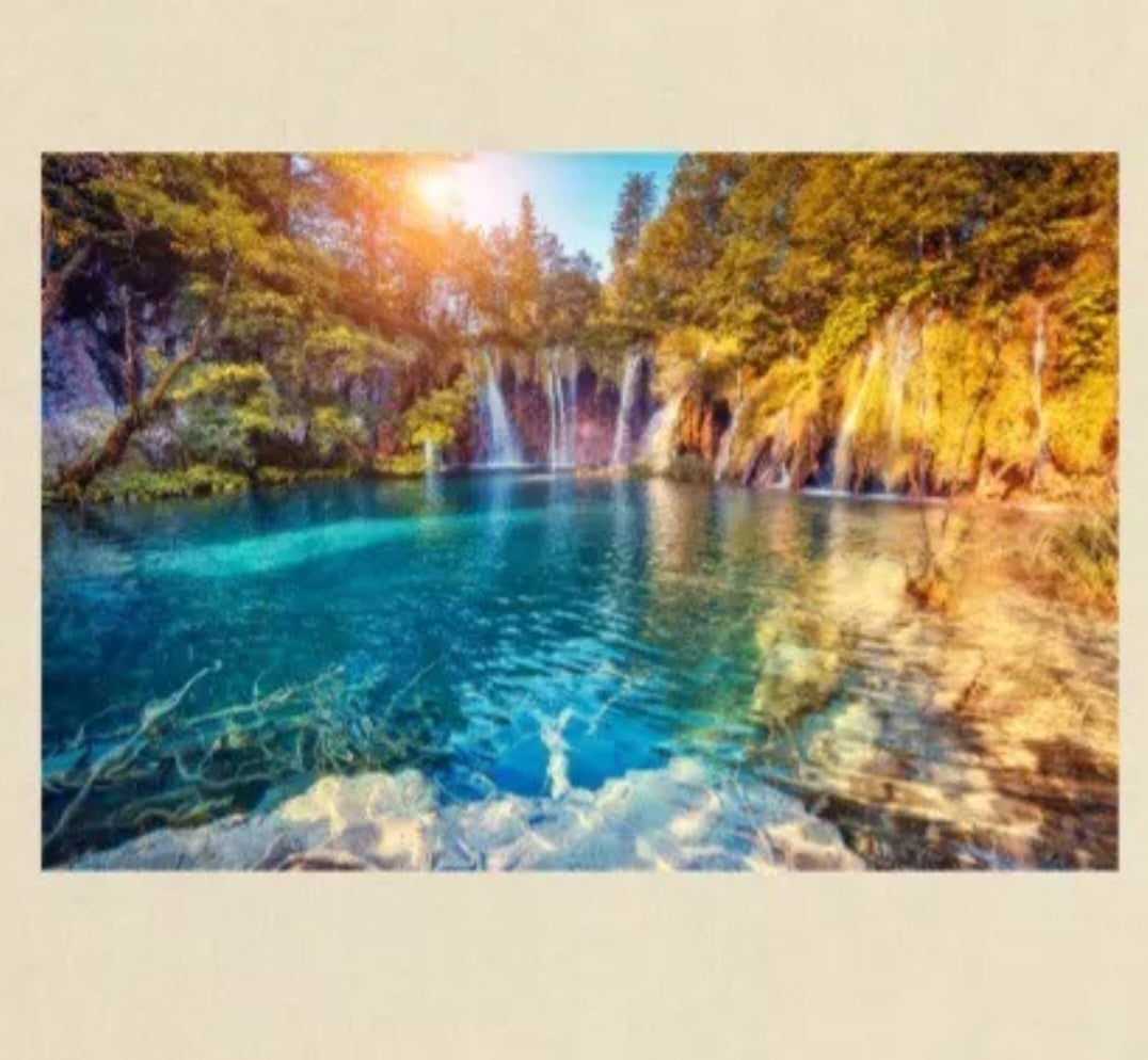 Tshirt Unisex-- Bible Verse: Phil 4:13 / Nature --Heavyweight Crewneck