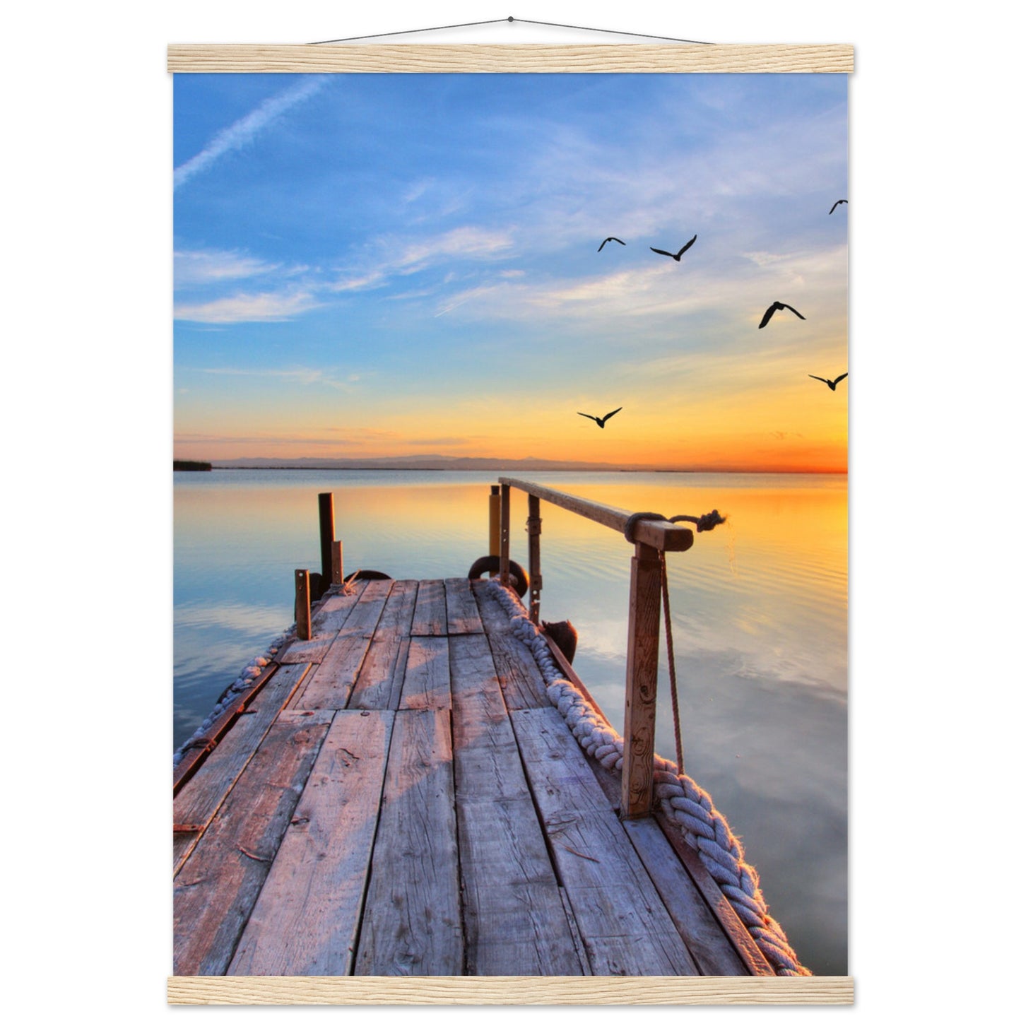 d456b57f-20c1-4d59-8f27-d957d74c555a