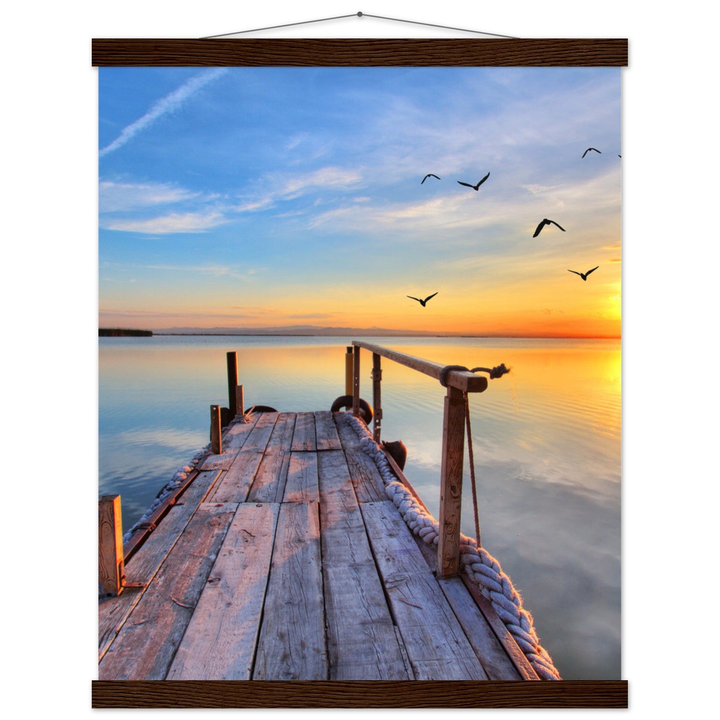 d51401f6-a74a-470d-8bc5-4e8a4ec81813